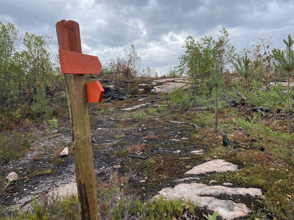 Orange ledmarkering, stig över klippor och igenom sly.