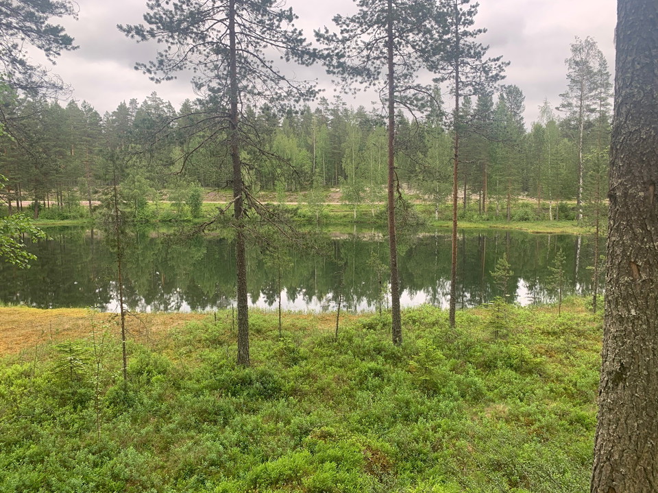 Utsikten över Galttjärn.