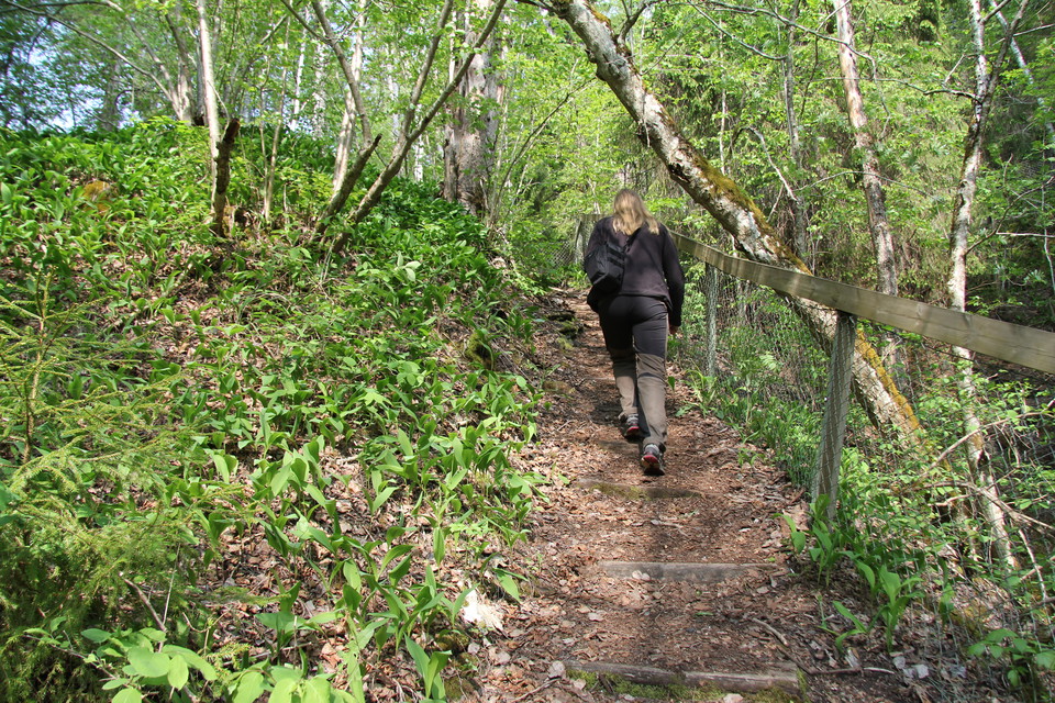 En person går upp för en stig.