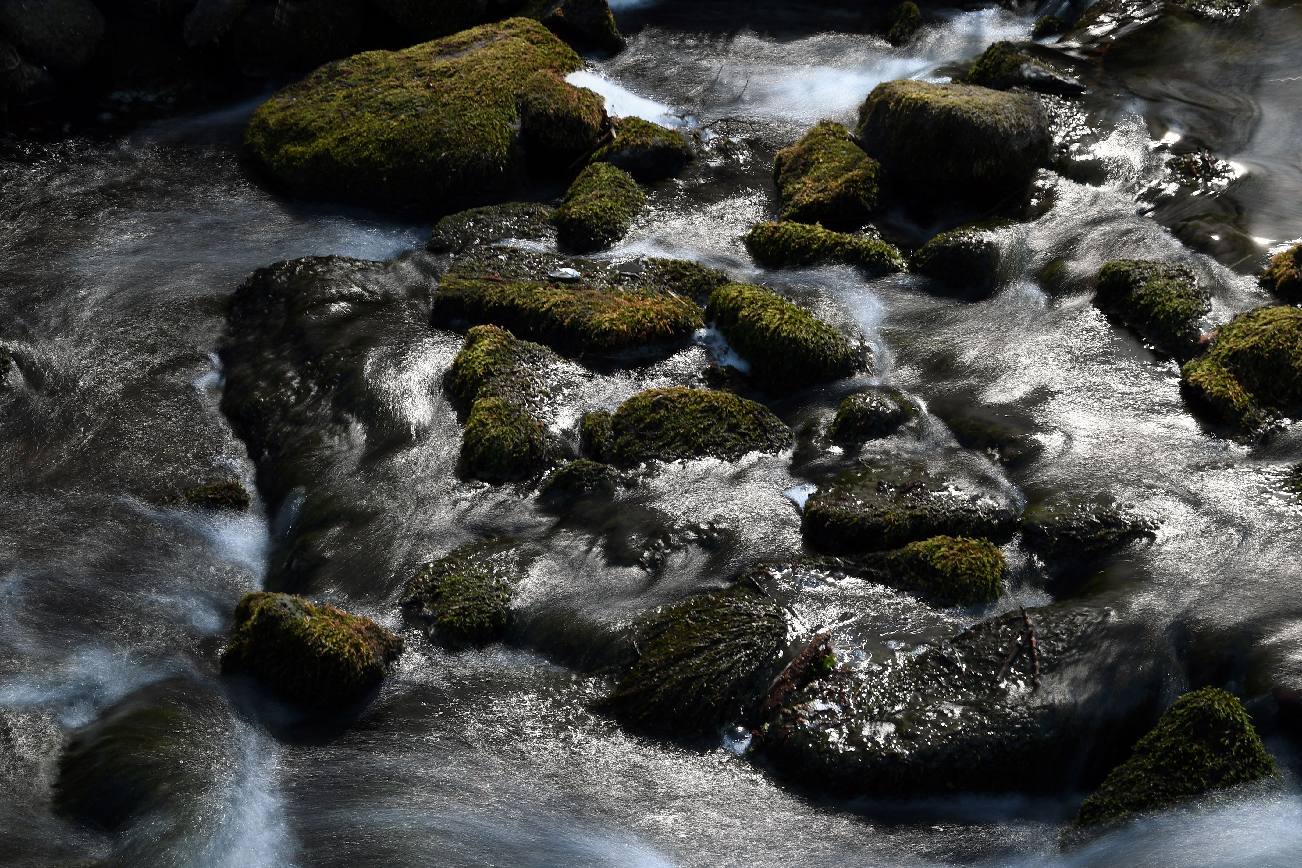 Vinnare av presentkort Jenny Hansson