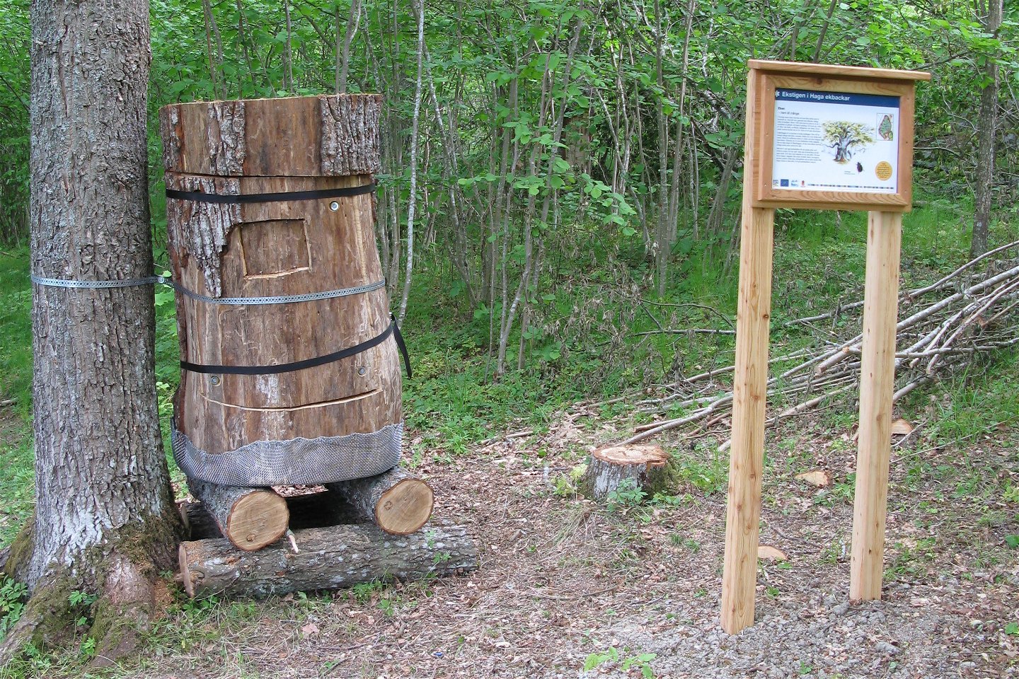 I skogen står en informationstavla och en slags stubbe av en gammal trädstam. Stubben är förankrad vid en trädstam bredvid.