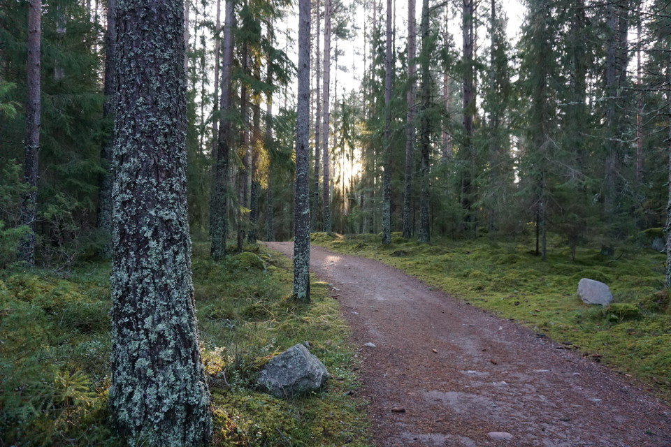 Milspåret Hemlingby