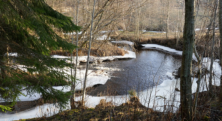 Torgilsrudsälven under vårvintern. Foto Per Gustafsson.