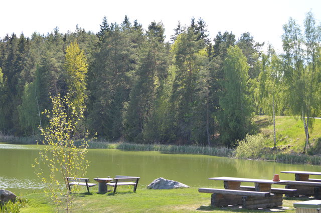 Grillplats, Äs puss