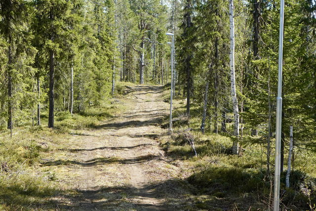 Harrträskslingan