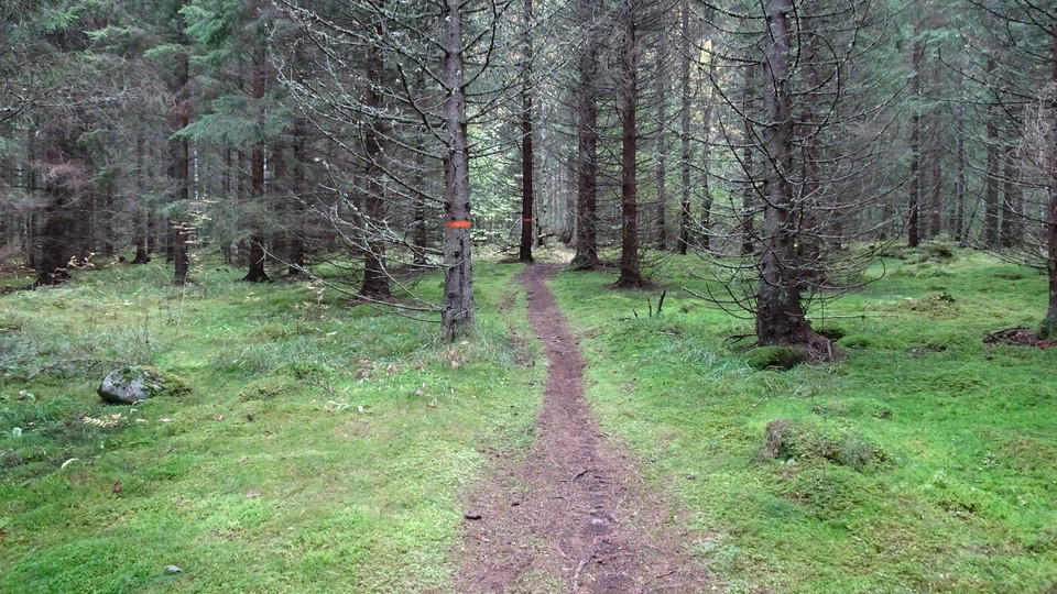 Höstbild. Etapp 14, strax efter/före ankomst till Morbyn.