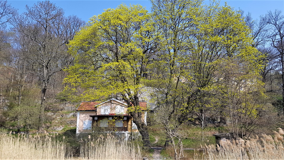 Torpet Öskure. Foto Lidingö stad