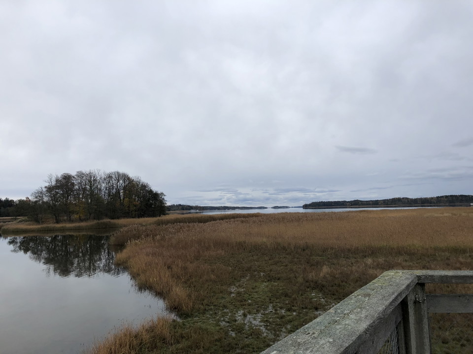 Utsikt från plattformen söderut.