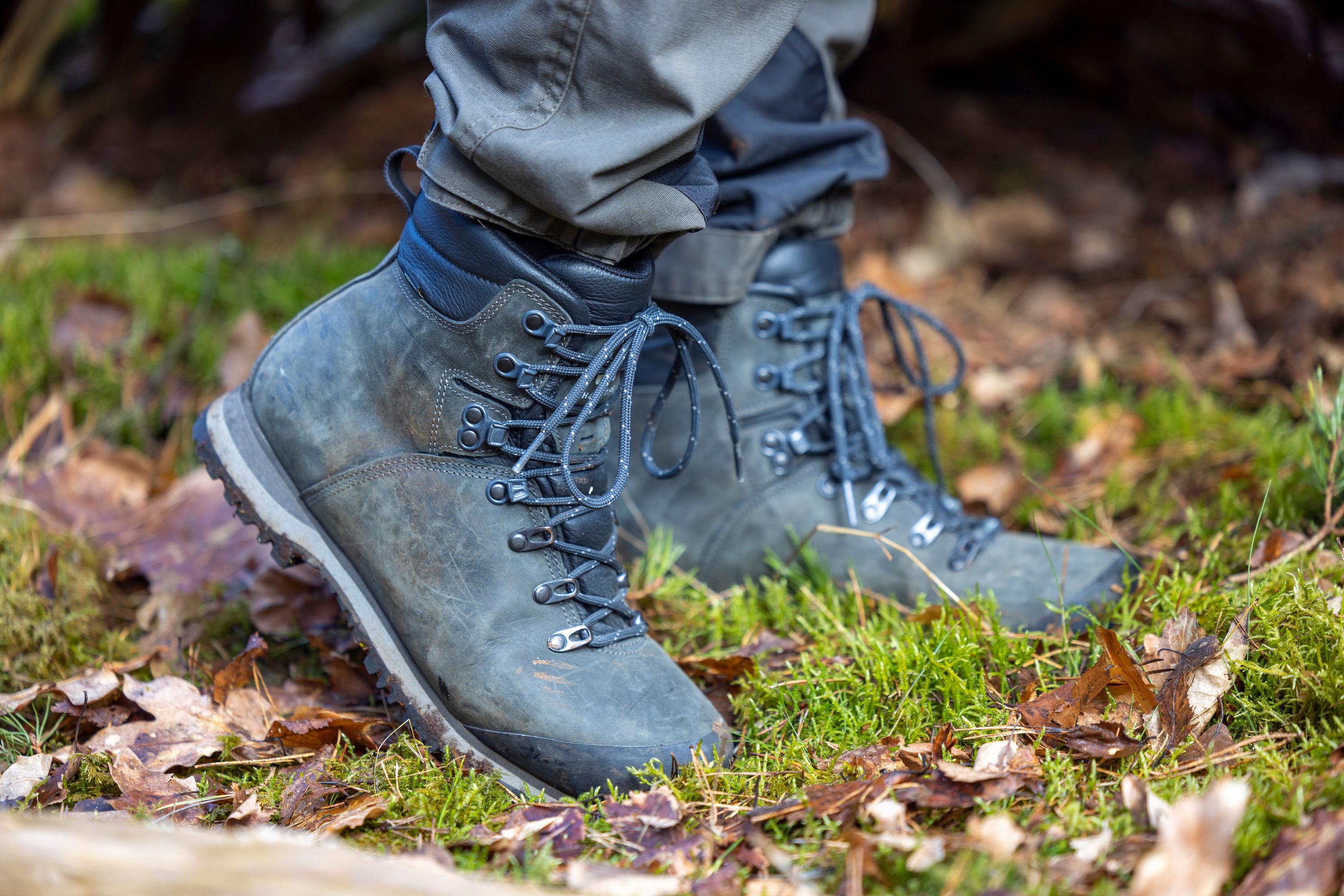 Stig genom reservat Bosarps Jär, Eslöv
