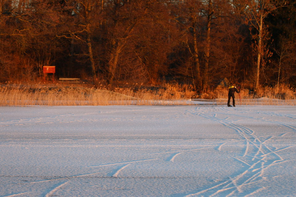 En person åker skridskor med stavar på Mälarens is.