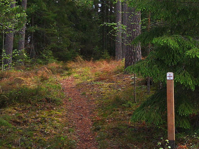 Salå - Prästbuo. Alternativ sträcka, Romboleden Gagnef kommun