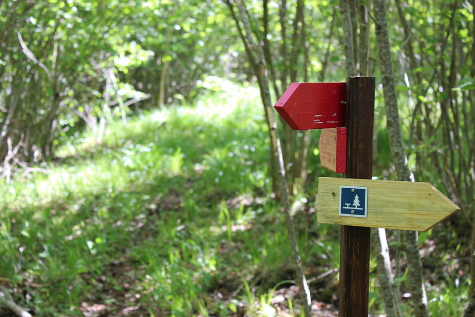 Ledmarkeringar med pilar.