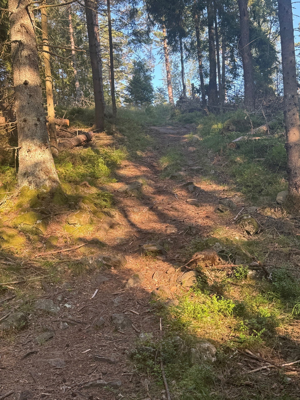 Bild: Hunneberg Sport och Motion 