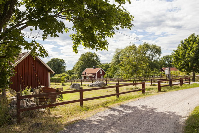 Fredagsutflykt till Hasselö – året runt