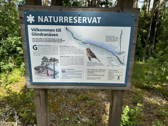 Glindranåsen