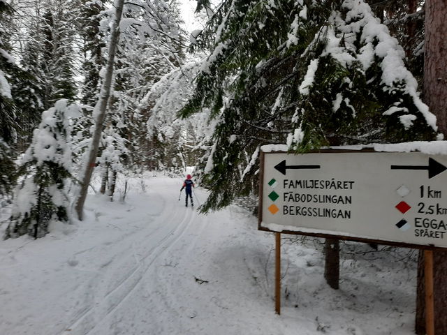 Familjespåret 4,3 km Skålsjögården