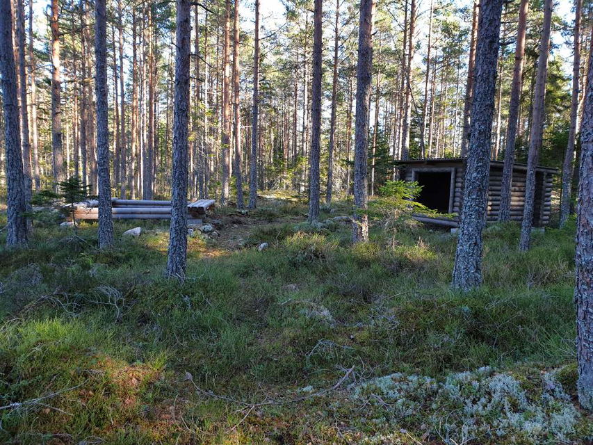 Rastplats med vindskydd och grillplats vid en tjärn.