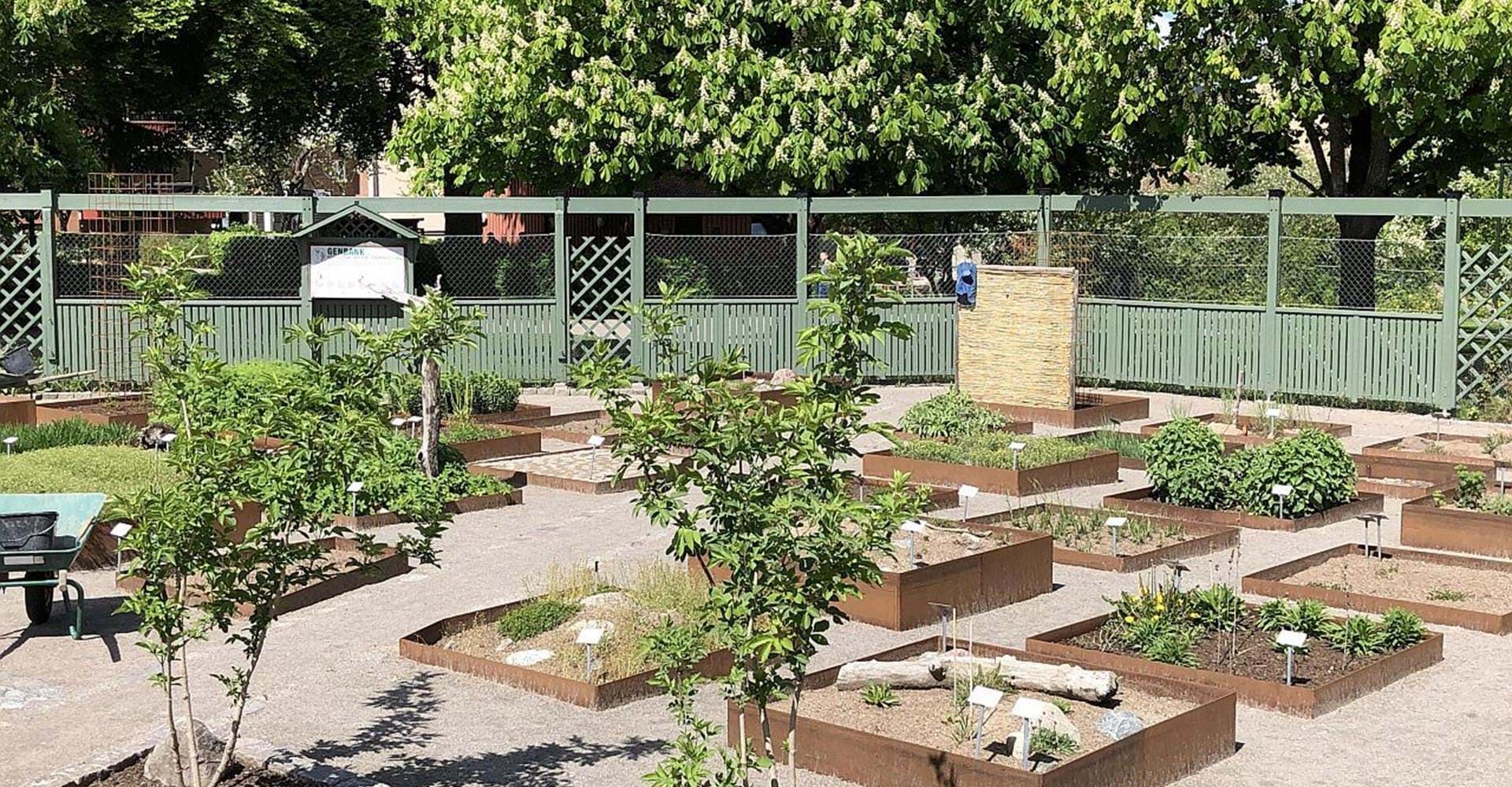 Genbanken i Linköpings Naturcentrum, Trädgårdsföreningen. 
Etapp: Berg-Trädgårdsföreningen, Trädgårdsföreningen-Gamla Linköping. 
Linköping. 