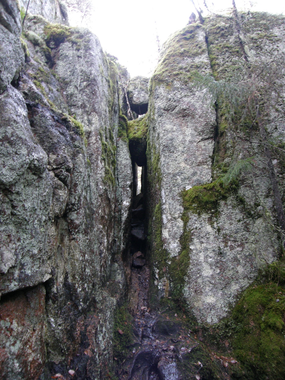 Den smala bergsskrevan, Trånggatan.