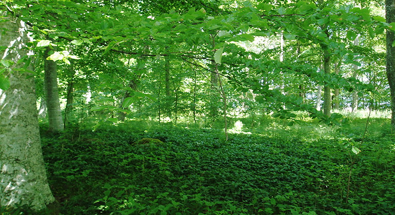 Fotograf: Malin Miller