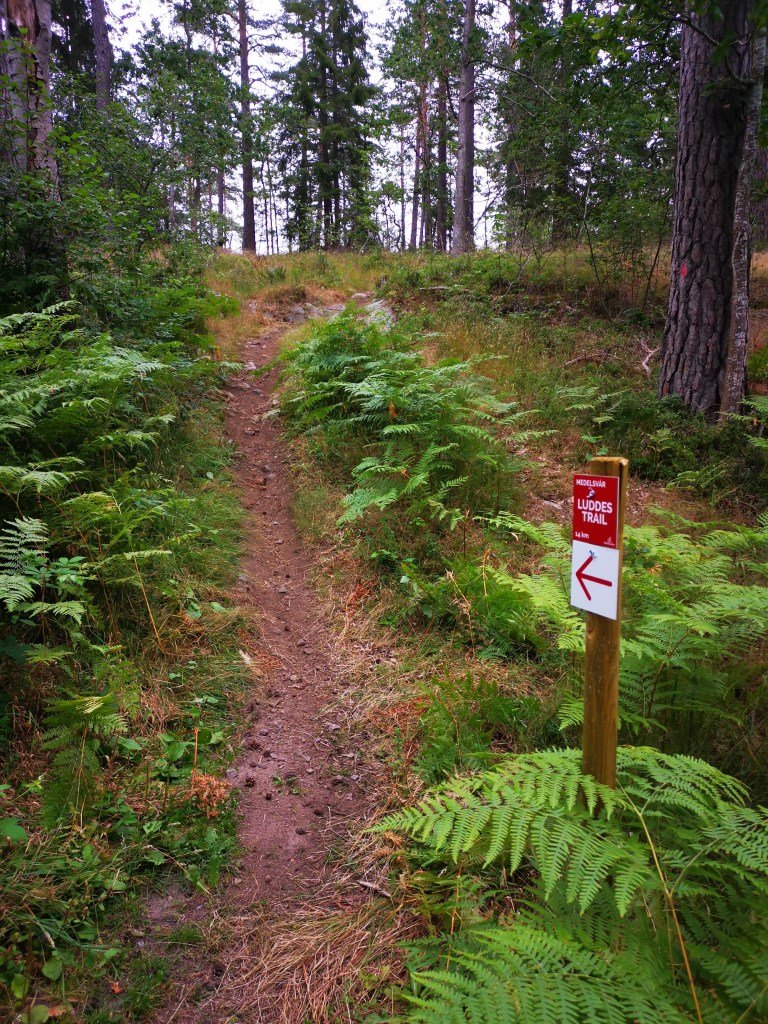Luddes trail, mountainbike