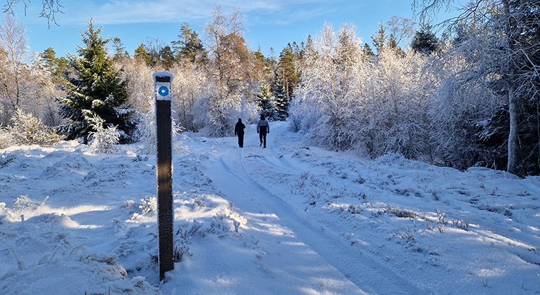 Två personer som går i ett snötäckt reservat