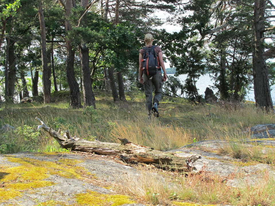 Oledad avstickare runt Lilla Lagnö. 