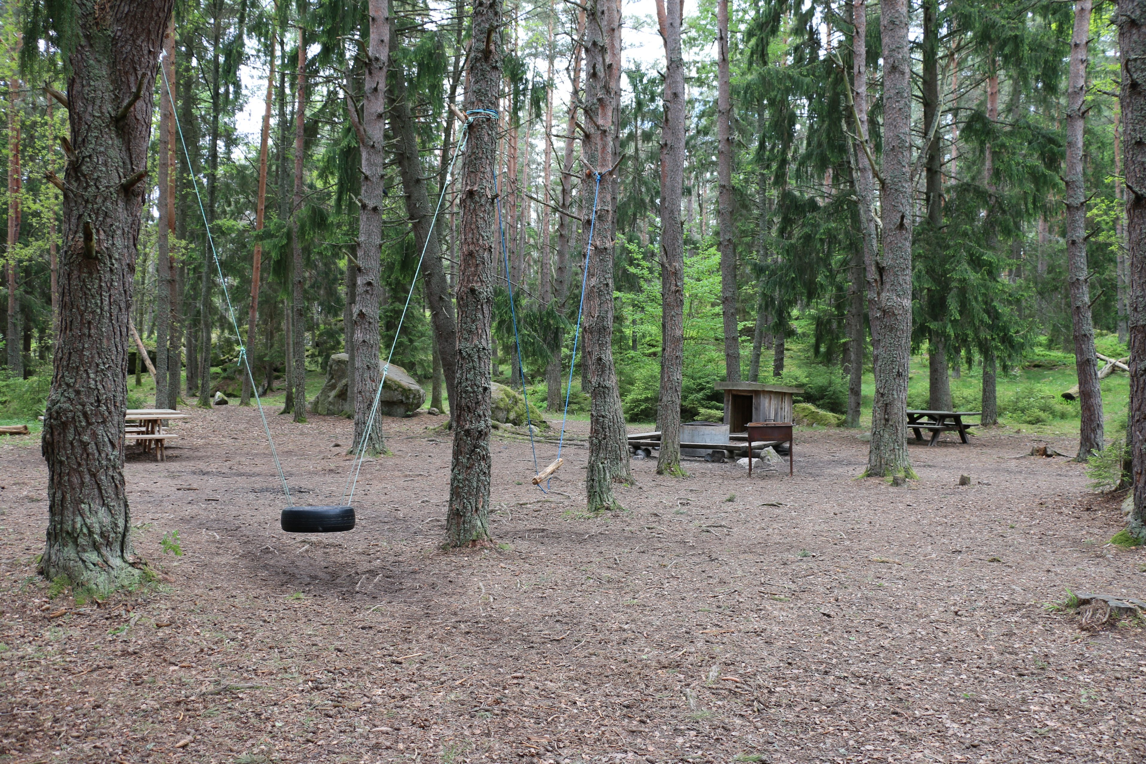 Rastplats i skogen med bord och bänkar, eldstad, vedförråd och två gungor. En gunga är gjord av ett däck, den andra av en trädgren.