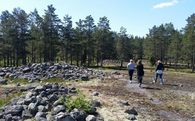 Snäckedal bronsåldersgravar