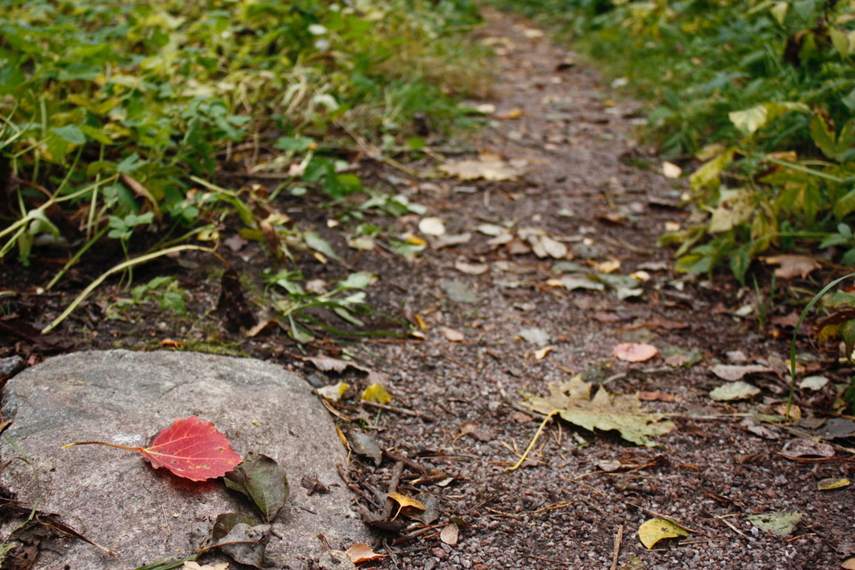 Stigen mot rastplatsen