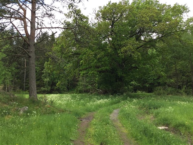 Hiking trail, Landsboda