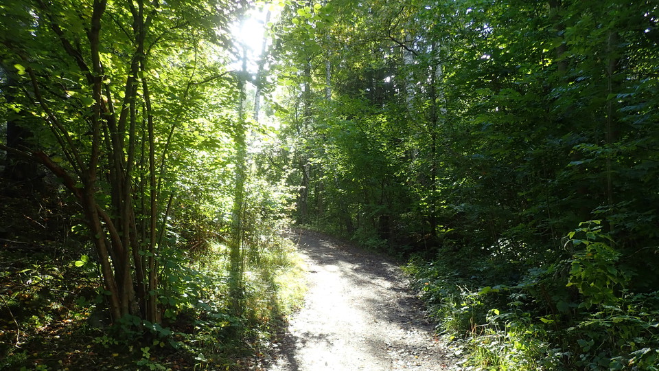 Lidingöloppsspåret vid Kyttinge. Foto Lidingö stad