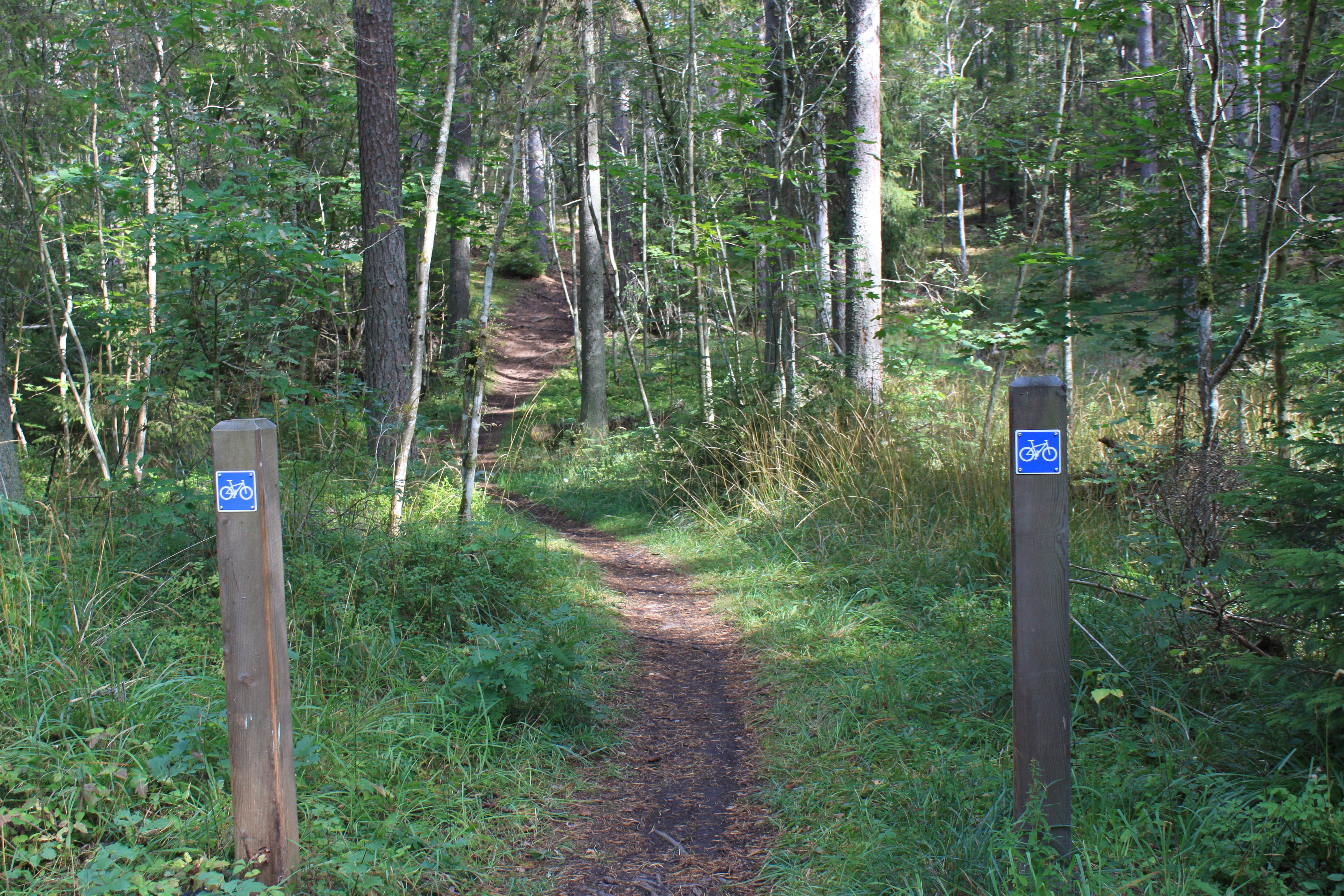 En mycket smal och kuperad stig går genom skogen. Två stolpar står på varsin sida av stigen med varsin skylt som visar att det är en cykelled.