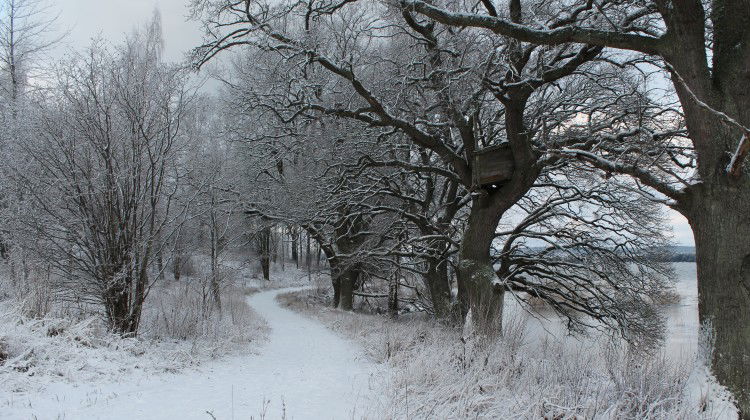 Mariebergsudden