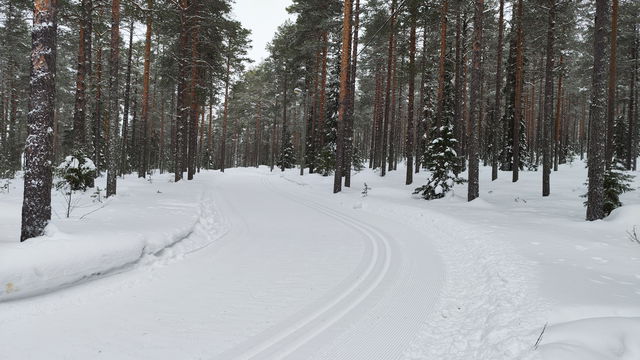 Isovaara Elljusspår