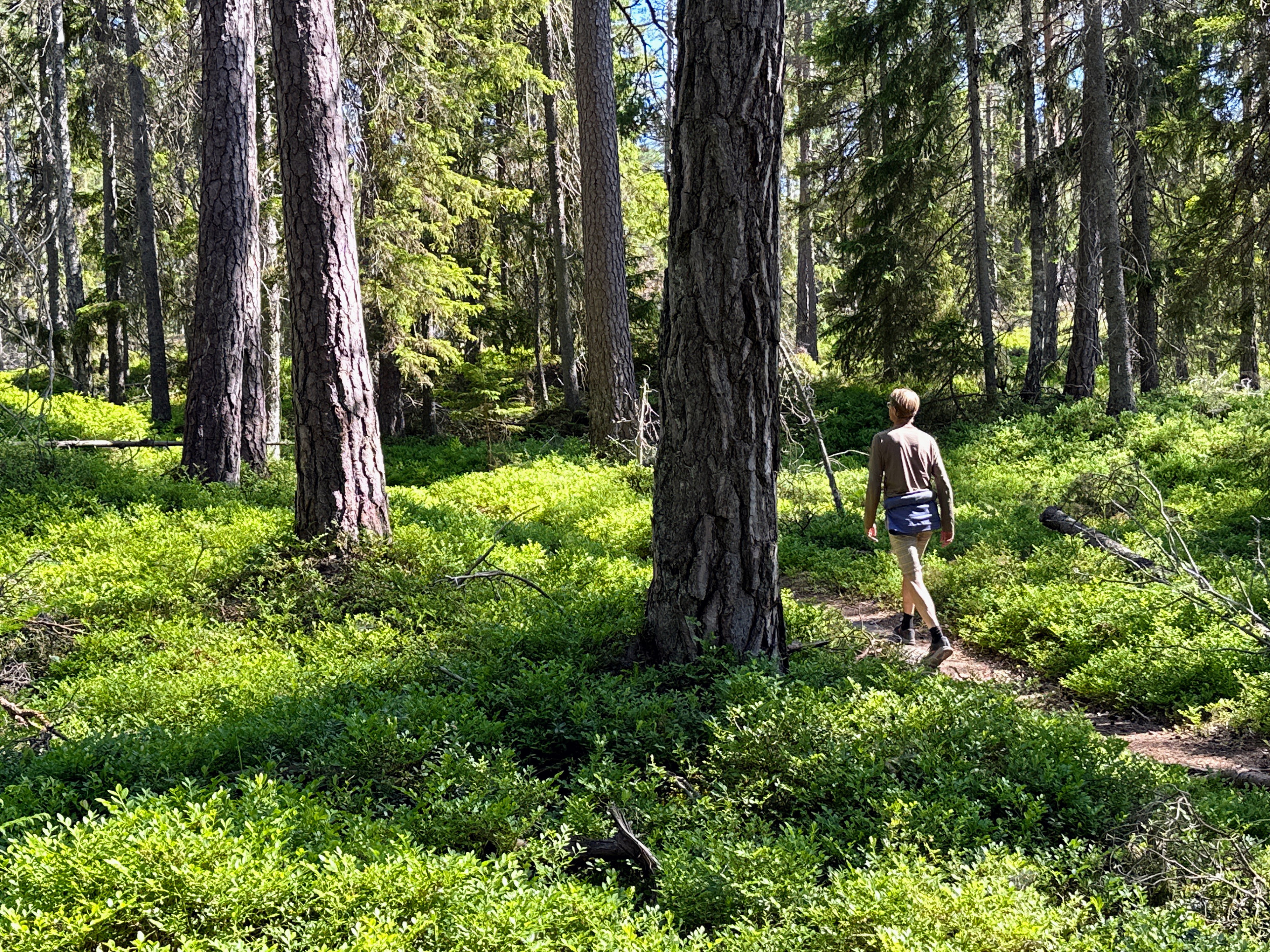 Ramverket för vandringsleder fastställt!