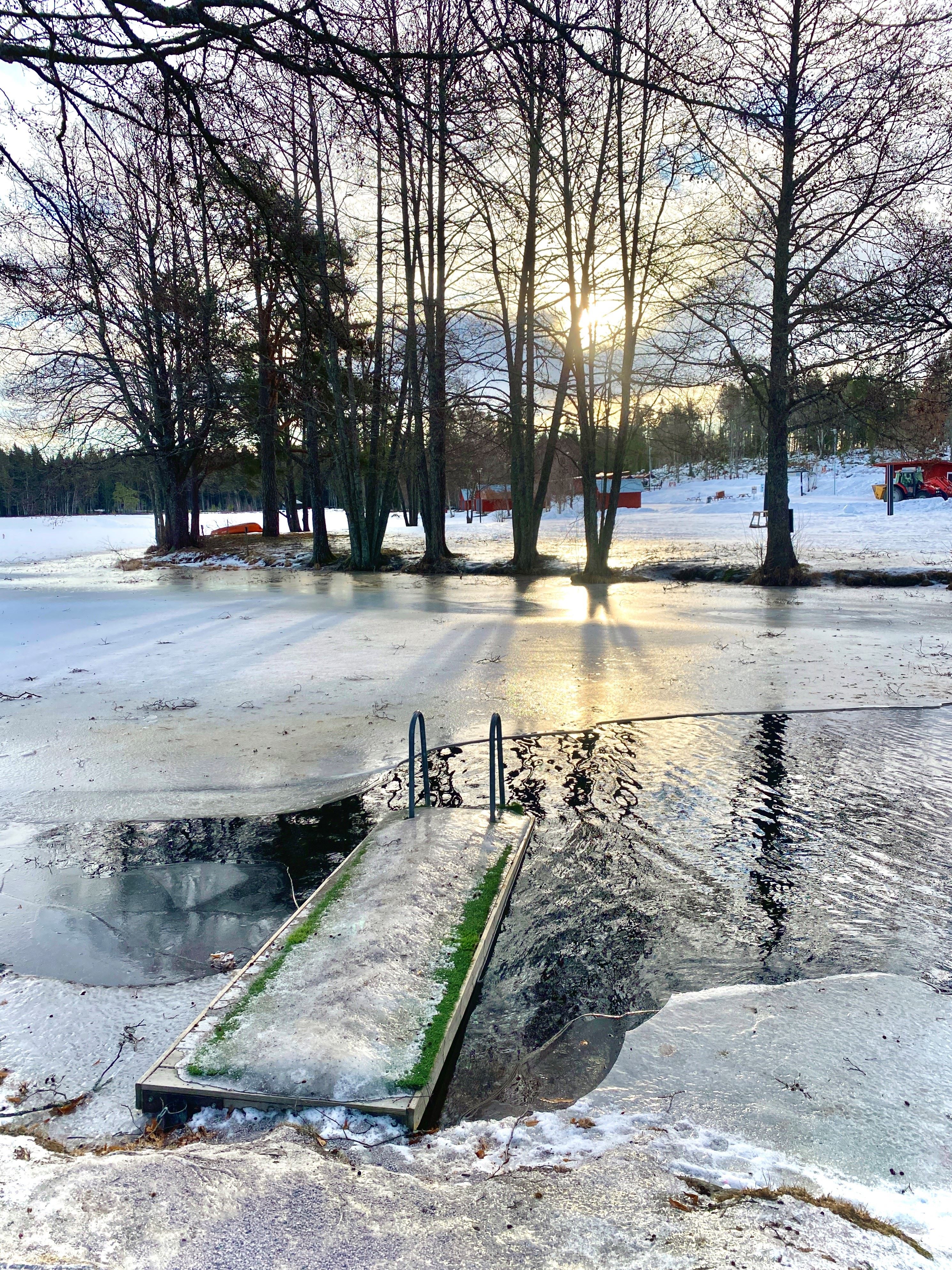 Vinterbad i Dammsjön, Högbo Bruk