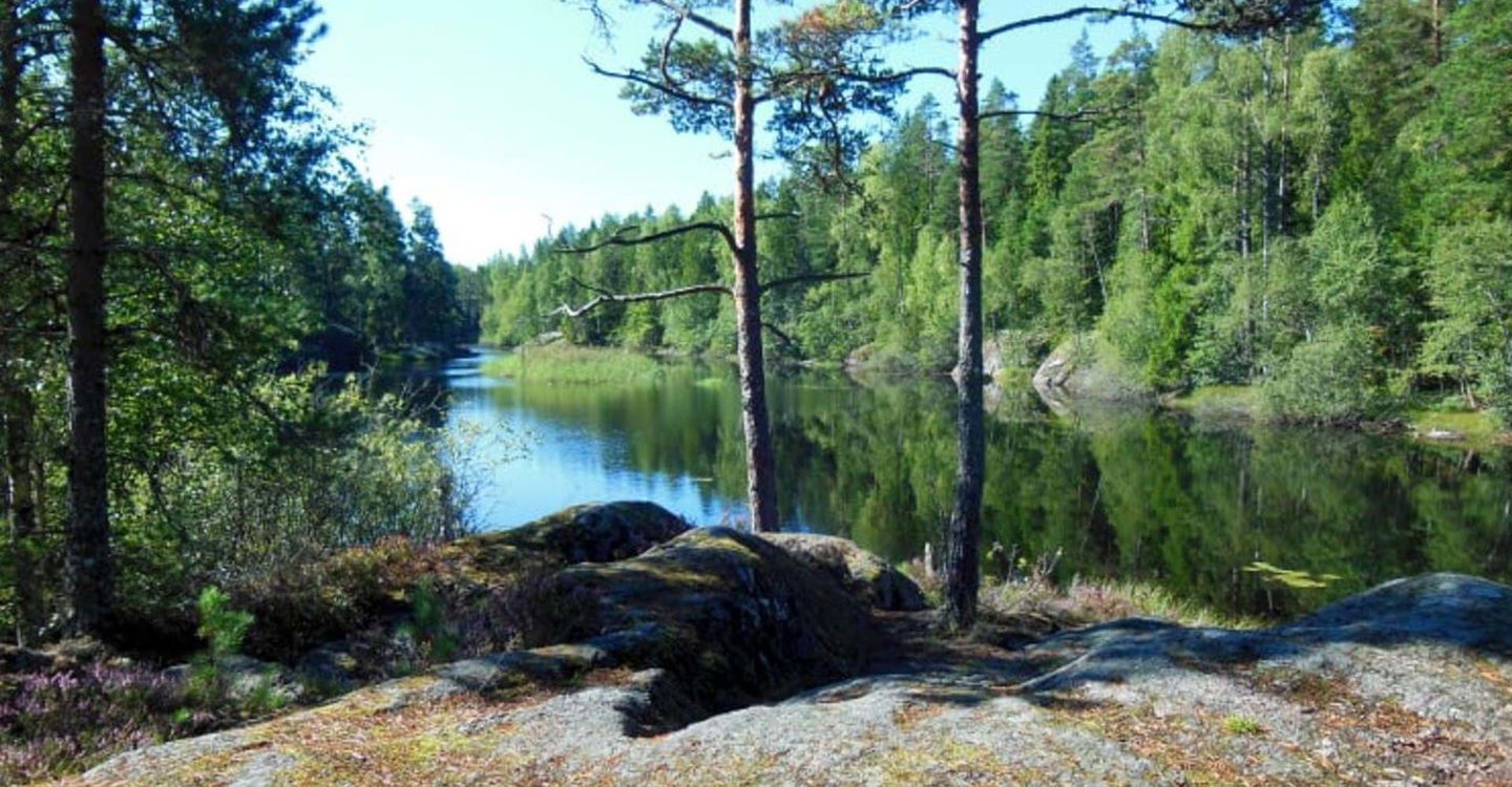 Utsikt från grillplatsen vid Dammen 
Skönnarboleden
Tjällmo
Motala