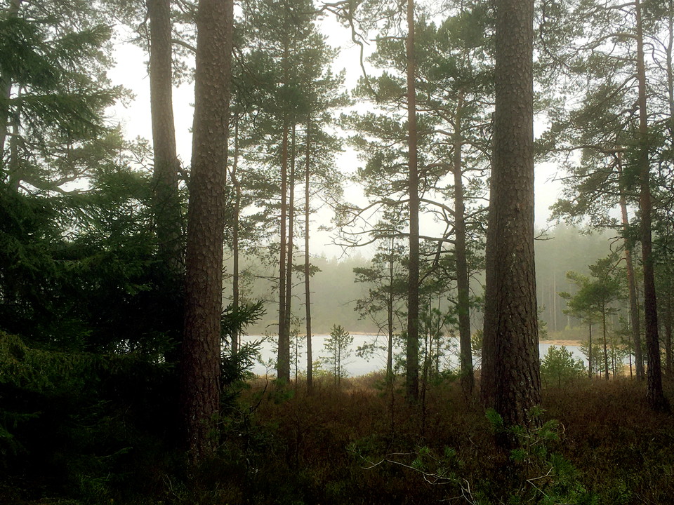 Naturnära övernattningsplatser för husbilar
