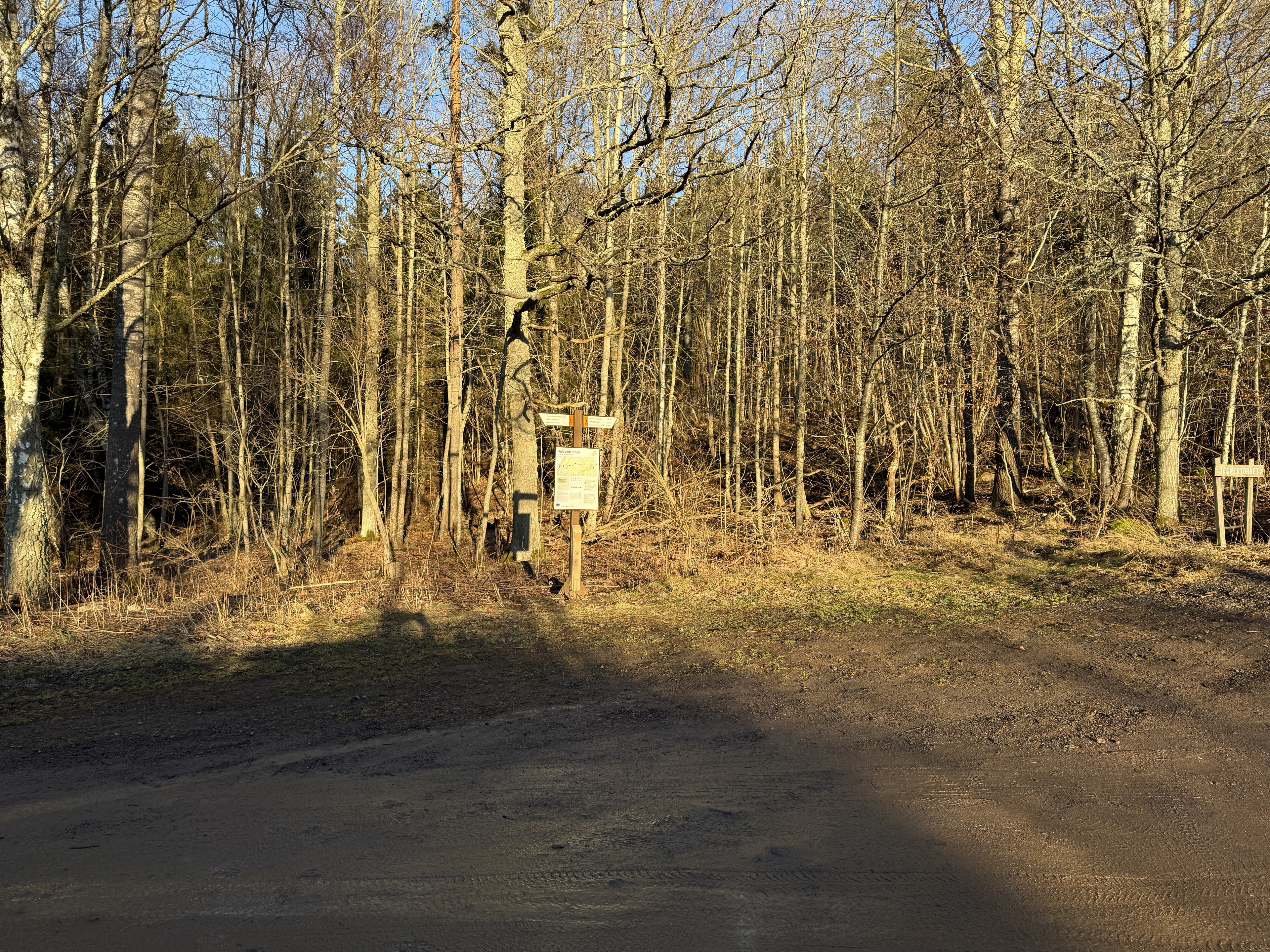 Tegnértornet, ledentré HO1