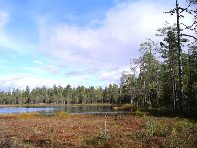 Valletjärnarna