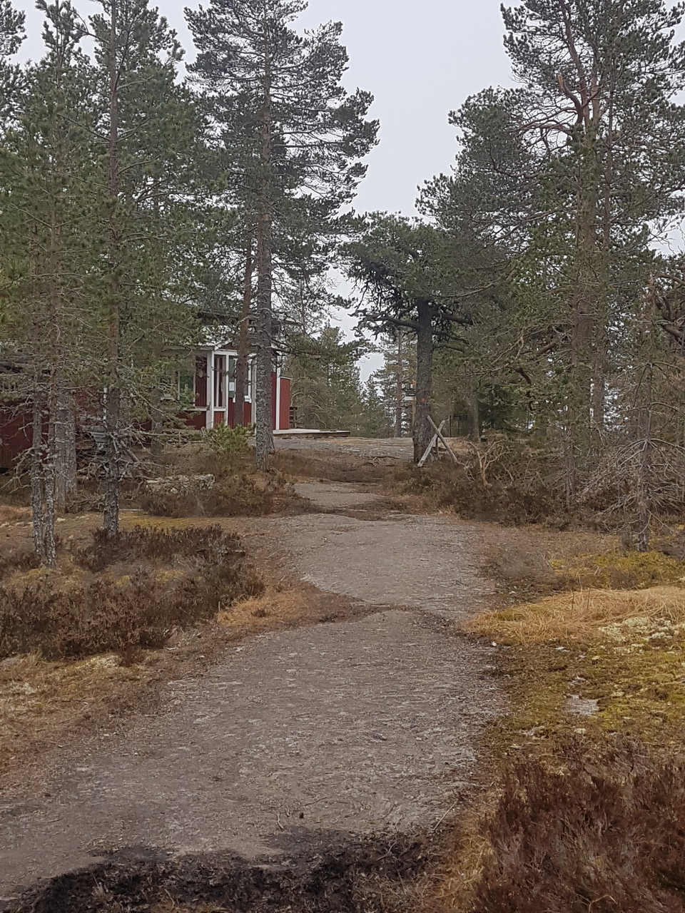 Hällmark in mot Fågelbergsstugan