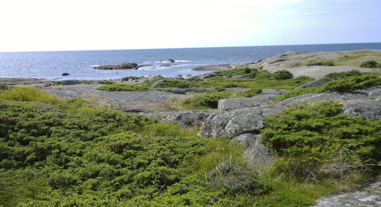 vy från land ut mot strand och hav