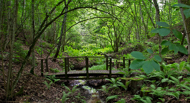 Ravinerna vid Apertin, Naturreservat