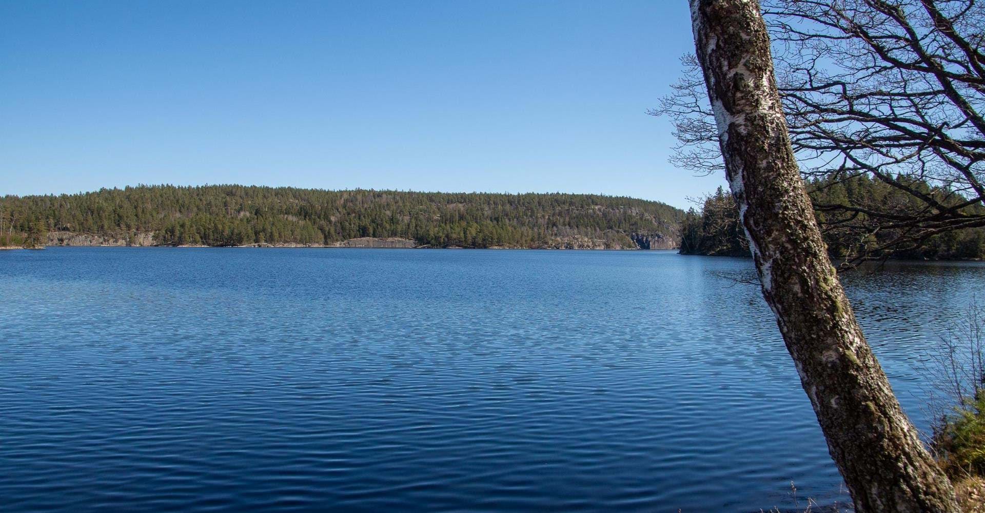 Björkviken runt
Norrköping