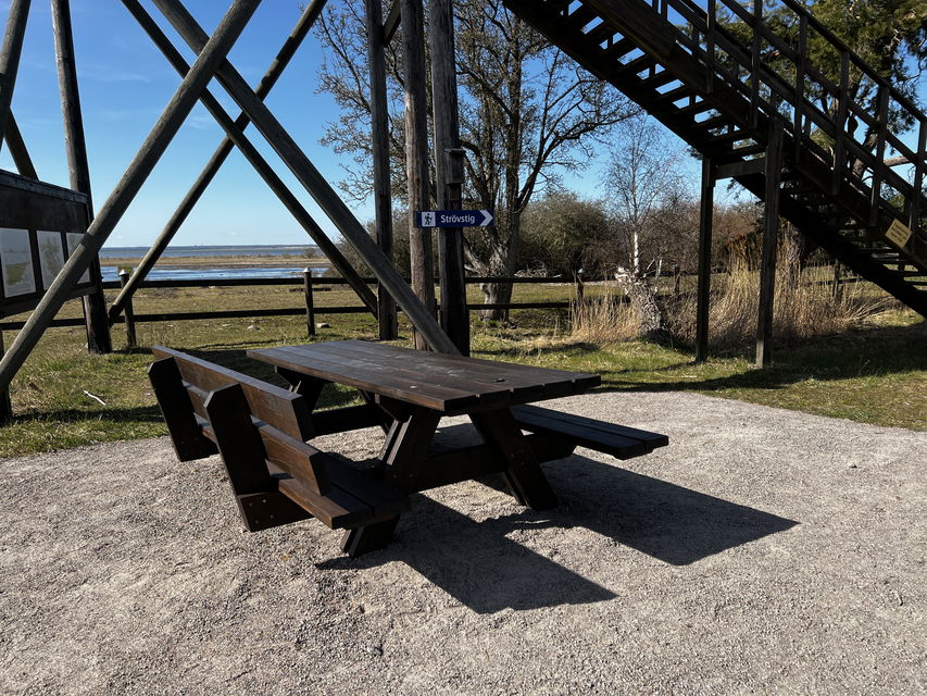 Tillgängligt rastbord vid fågeltorn