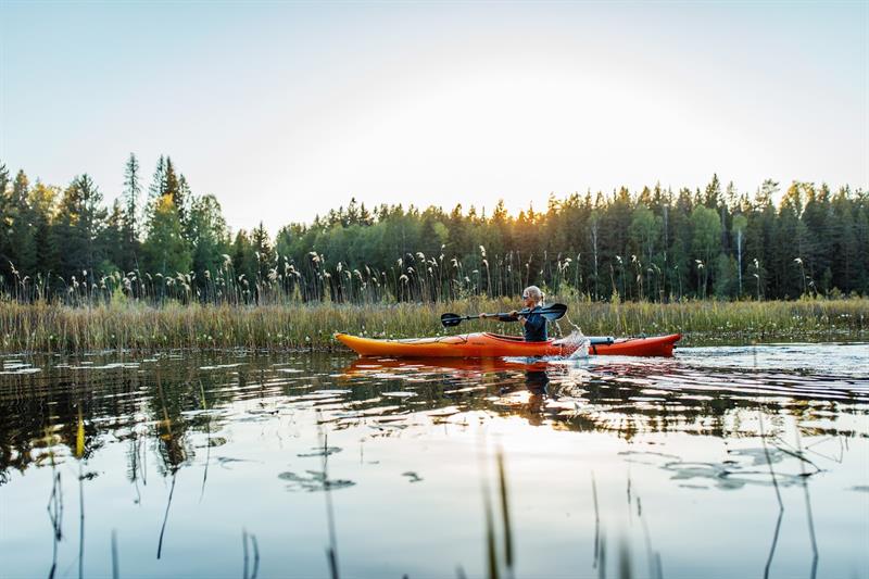 Guided wilderness experiences - WIld Oslo