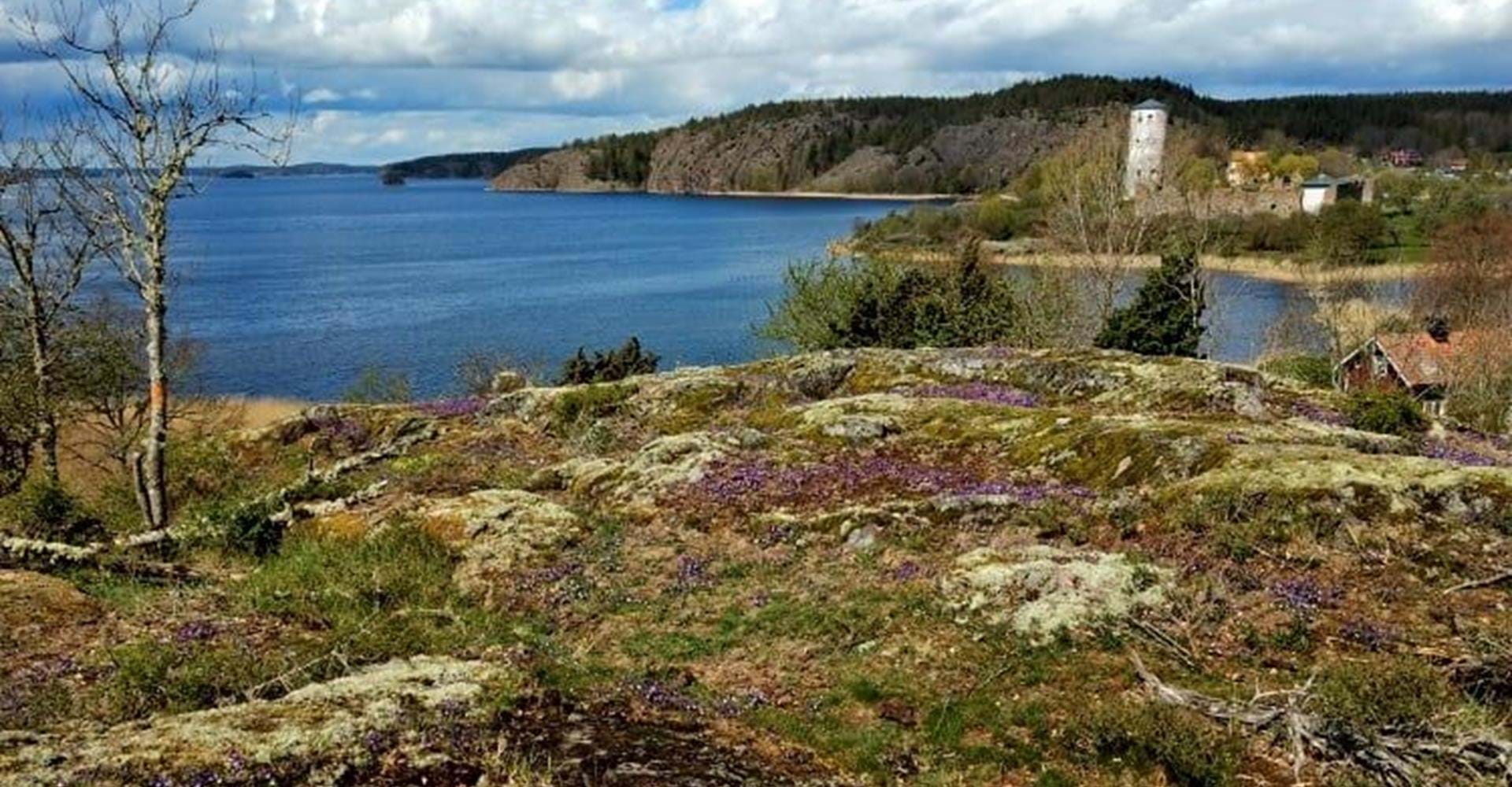 Utsikt över Slätbaken och Stegeborgs slottsruin
Etapp: Nartorp och Rundslinga Stegeborg
Söderköping