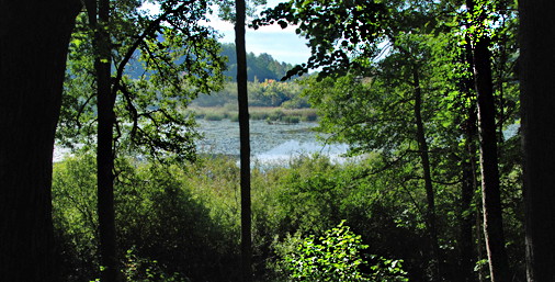 Björksättra halvön – lockande upplevelser i hagmark och gammelskog