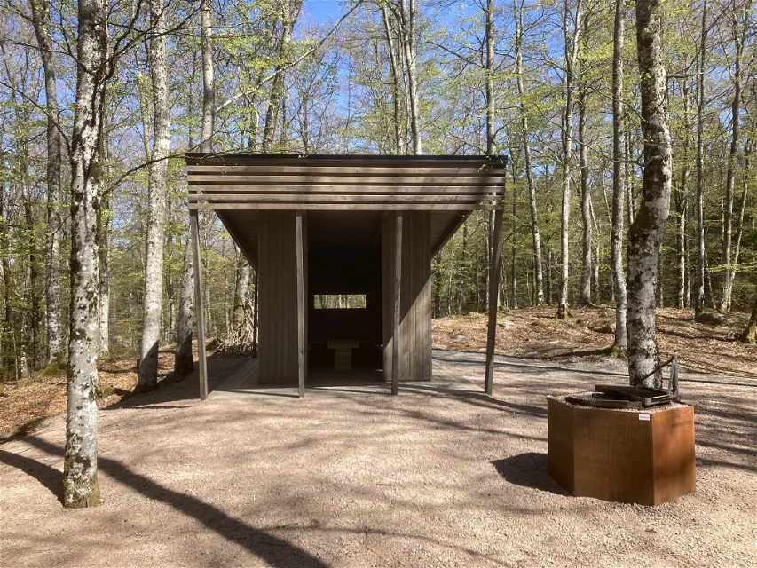 Vindskydd och grillplats med skog runtomkring